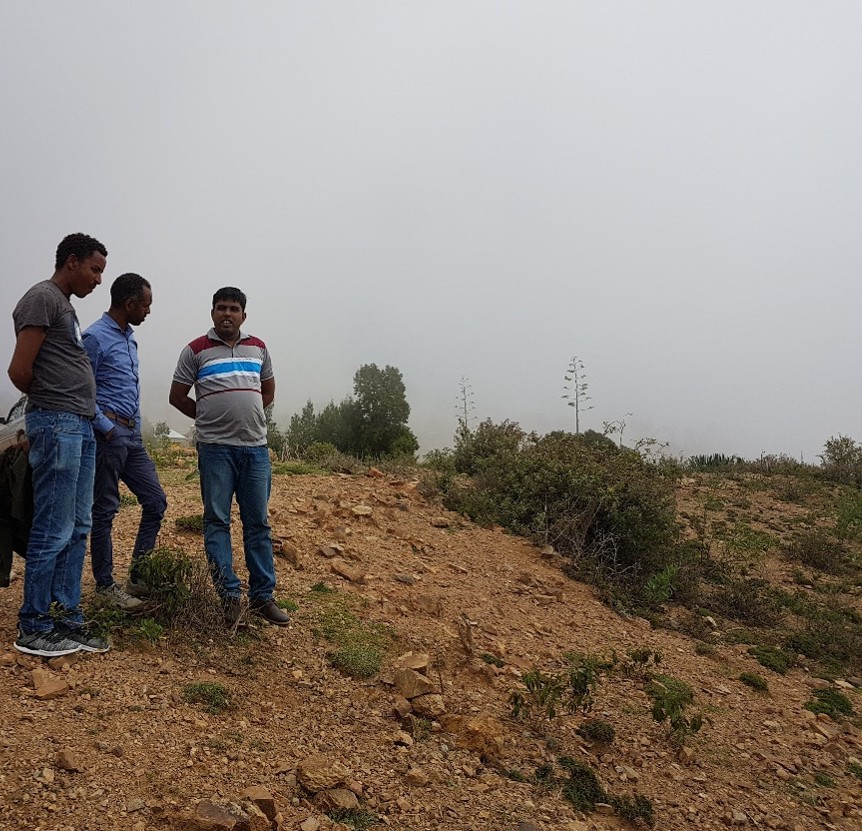 GIS Support Service – Desa Forest